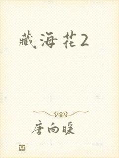 藏海花2