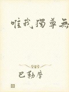 唯我独尊无弹窗