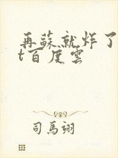 再苏就炸了txt百度云