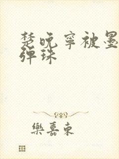 楚晚宁被墨燃塞弹珠