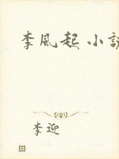 李风起 小说