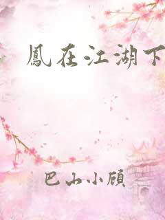 凤在江湖下载