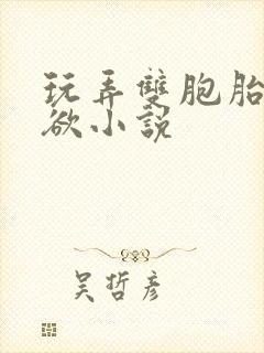 玩弄双胞胎的肉欲小说