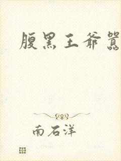 腹黑王爷嚣张妻