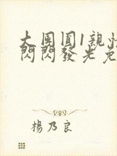 大团圆1亲情会闪闪发光免费