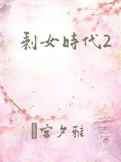 剩女时代2