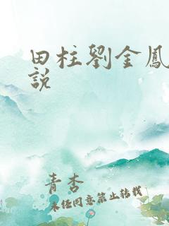 田柱刘金凤的小说