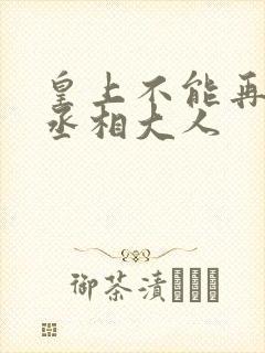 皇上不能再进了丞相大人