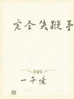 完全失踪手册