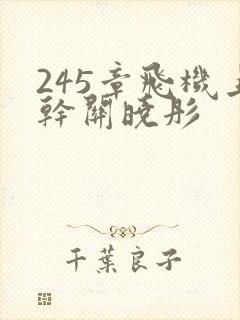 245章飞机上干关晓彤