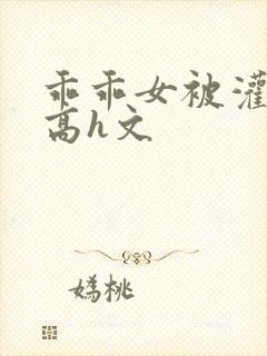 乖乖女被灌满精高h文