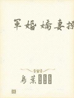 军婚 娇妻撩人