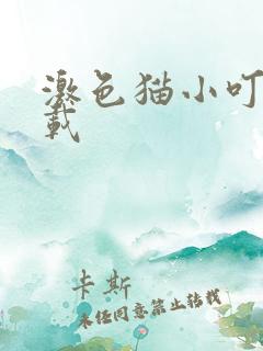 激色猫小叮当下载