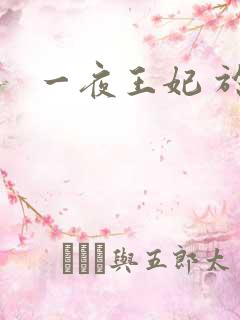 一夜王妃 于墨