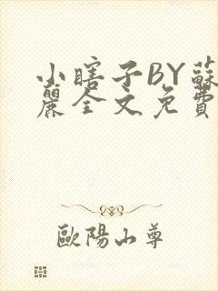 小瞎子BY苏玛丽全文免费笔趣阁