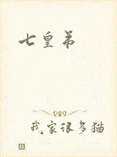 七皇弟