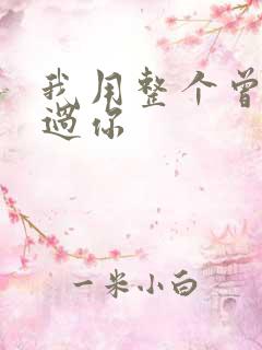 我用整个曾经爱过你