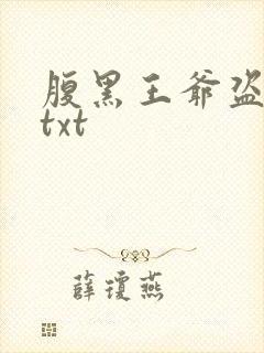 腹黑王爷盗墓妃txt