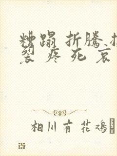 糟蹋 折腾 撕裂 疼 死 哀求