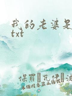 我的老婆是警察txt