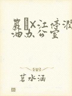 严峫X江停润滑油办公室