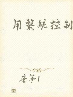 用系统控制女神