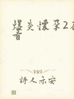 爆炎怀孕2在线看