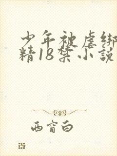 少年被虐绑着榨精18禁小说
