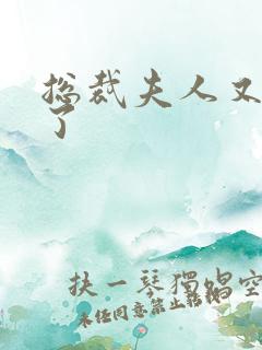 总裁夫人又征婚了