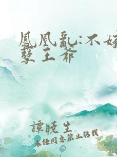凤凰乱:不嫁妖孽王爷