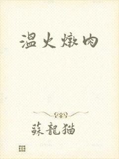 温火炖肉