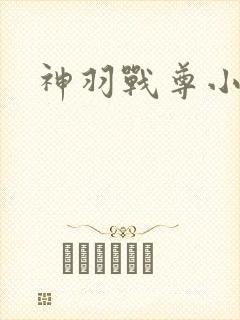 神羽战尊小说