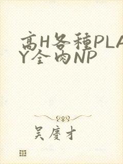 高H各种PLAY全肉NP