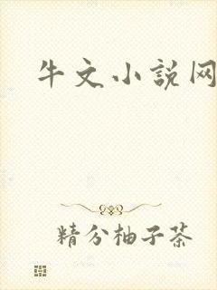 牛文小说网