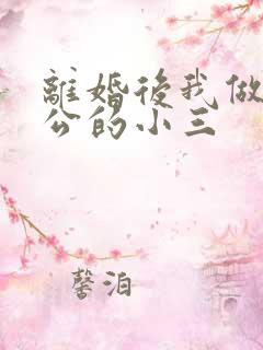 离婚后我做了老公的小三