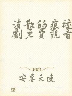 消散的痕迹电视剧免费观看完整版