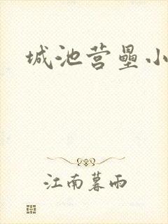 城池营垒小说