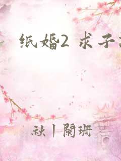纸婚2 求子记