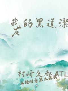 我的黑道洁癖男友