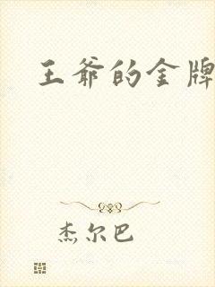王爷的金牌暗卫