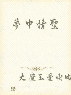 梦中情圣