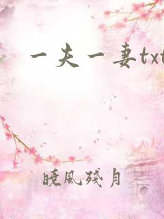一夫一妻txt