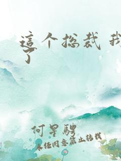 这个总裁 我要了