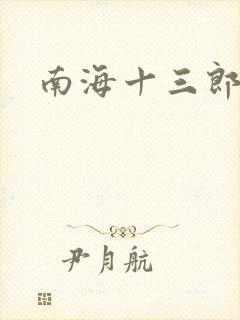 南海十三郎小说