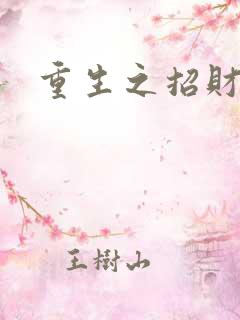 重生之招财进宝