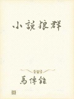 小说狼群