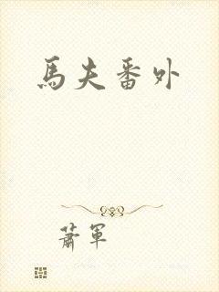 马夫番外