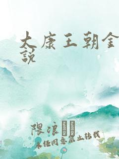 大康王朝金峰小说