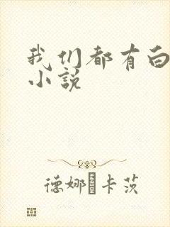 我们都有白月光小说