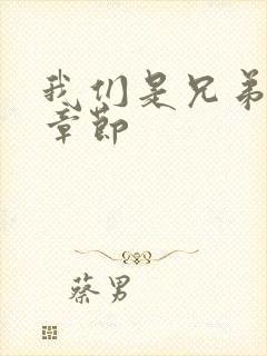 我们是兄弟最新章节